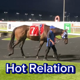Hot Relationの画像