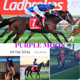 Purple Moonの画像