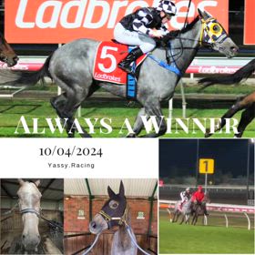 Always a Winnerの画像