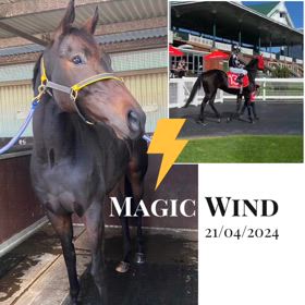 Magic Windの画像