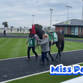 Miss Pashaの画像