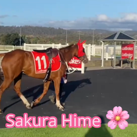 Sakura Himeの画像