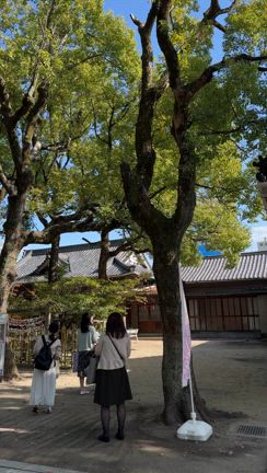 11月13日（火）大阪神社ツアー開催しました❤️の記事動画
