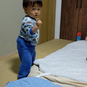 ゆうひ立った記念日の画像