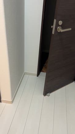 実はなっちゃん、うちのトイレで恐怖体験してました・・・の記事動画
