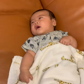 ほんとに、よくしゃべるの画像