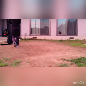 dog training❸の画像
