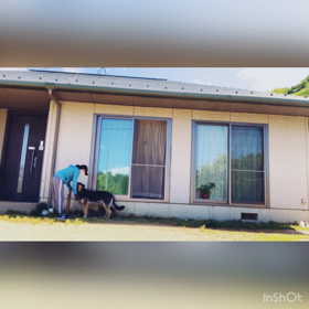 dog  training❷の画像
