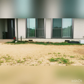 dog training➓の画像