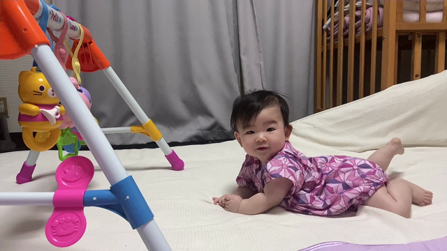 生後6ヶ月になりました♡の記事動画