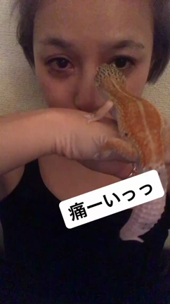 らぶもんじゃ〜の記事動画