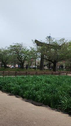 散歩という名の猛ダッシュ。の記事動画