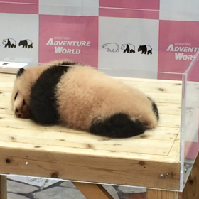 久しぶりにおんせん②の画像