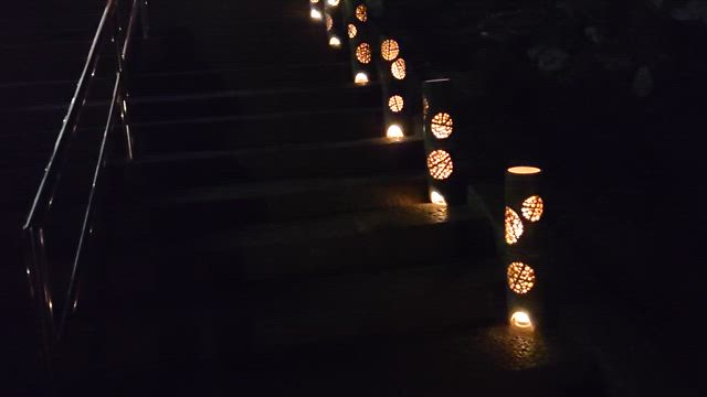 【小川郷 諏訪神社】シダレザクラのライトアップの記事動画