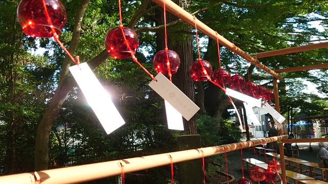 【國魂神社】の夏詣への記事動画