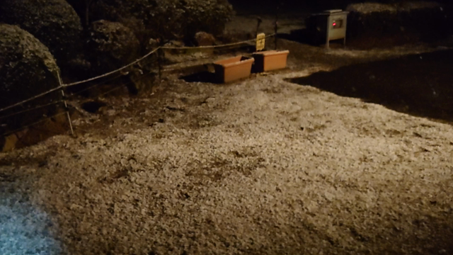 南東北にも雪がぁ～の記事動画