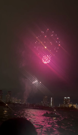 東京湾クルージングで花火見てきた土曜日♡の記事動画