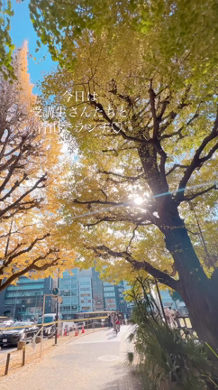 OL仲間と青山ランチで優雅な日曜日♡の記事動画
