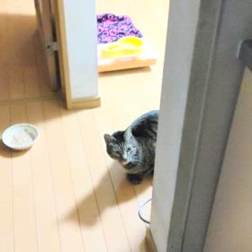 今日のおすわりの画像