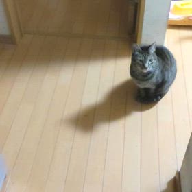 おすわり上手☺️☺️の画像