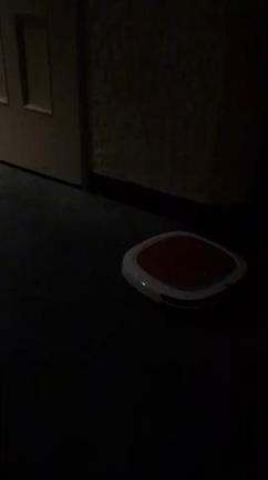 ♬みー ＆ あやか♪〜(´ε｀ )の記事動画