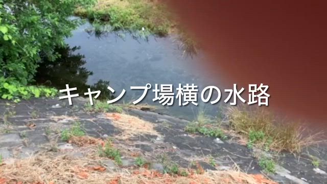 やっぱり変？中津川と早川で楽しむ後輩の記事動画