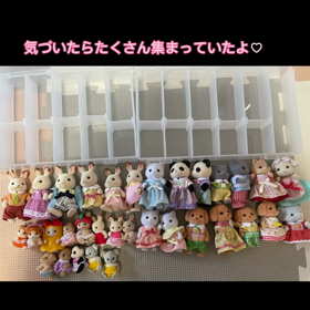シルバニアファミリー収納の画像
