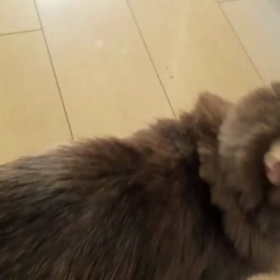 おやつの画像