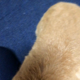 嬉しい時はの画像