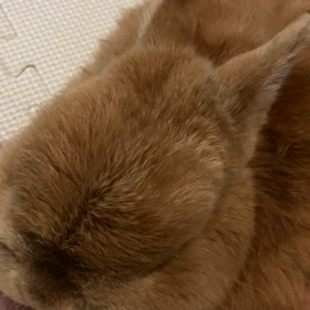 久しぶりすぎるの画像