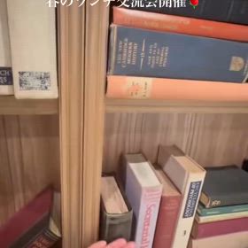2025/03/31の画像