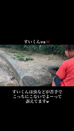 2024/09/07の記事動画