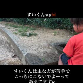 2024/09/07の画像