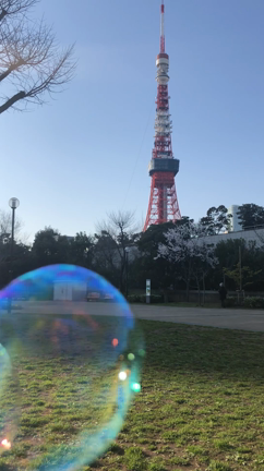 ピクニック日和の記事動画