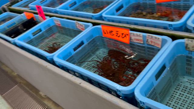 海に行ってきました❣️の記事動画