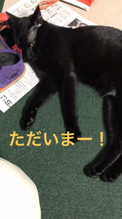まさかの病院一人旅 ⑥の記事動画