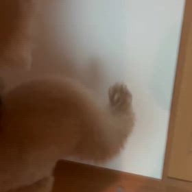 壁タッチの画像