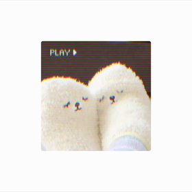 靴下の画像