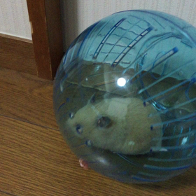 ランナーボールの画像