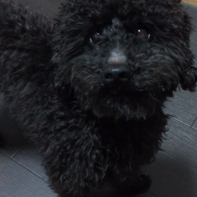 それ ちょうだいなの画像