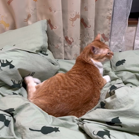 おしゃべりさんの画像