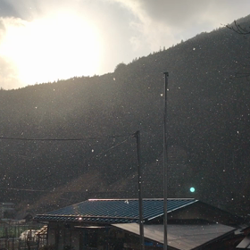 青空と黄金色の粉雪の画像