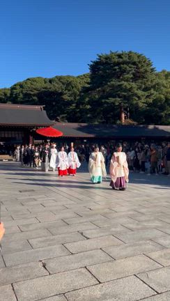 今日は『新嘗祭』とても重要な日ですの記事動画