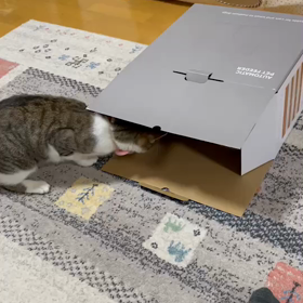 2023/05/27の画像
