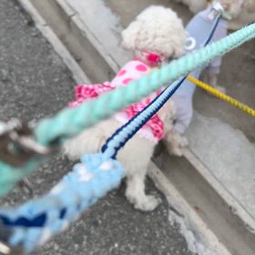 おはよう　！の画像