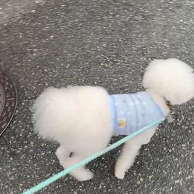 雨上がりの画像