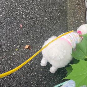 雨が上がったよ　〰️の画像