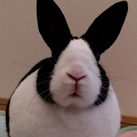 放送事故の画像