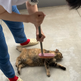 いい季節ですの画像