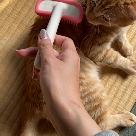 気持ちいい？の画像